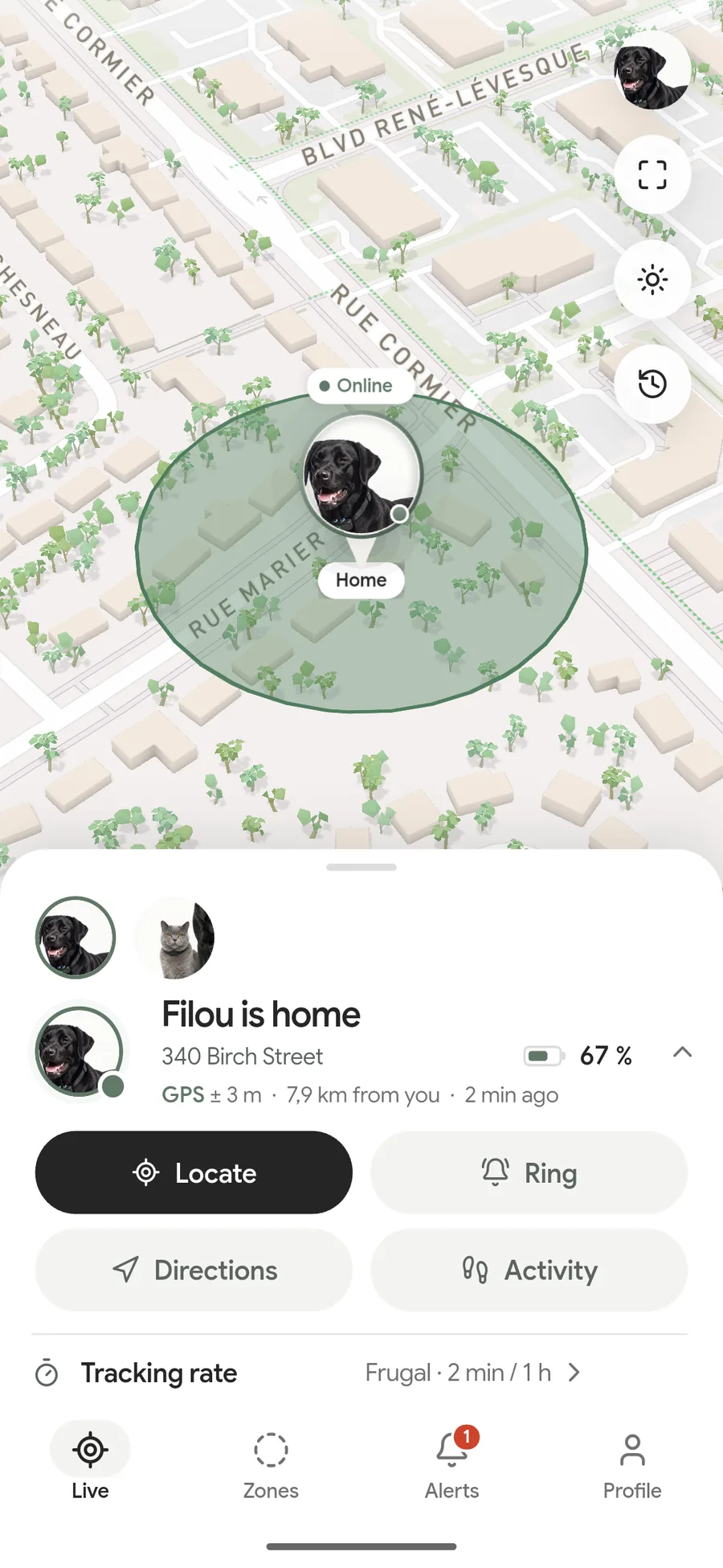 The Filou app: Filou is at home, at 340 Birch Street, two minutes ago. Battery 67 %, GPS to within three metres, 7.9 km from you.
