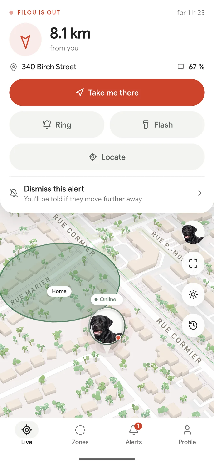 L’application Filou pendant une recherche : « Filou est dehors », depuis 1 h 22, à 4 mètres de vous. Quatre gestes — m’y conduire, sonner, clignoter, localiser.