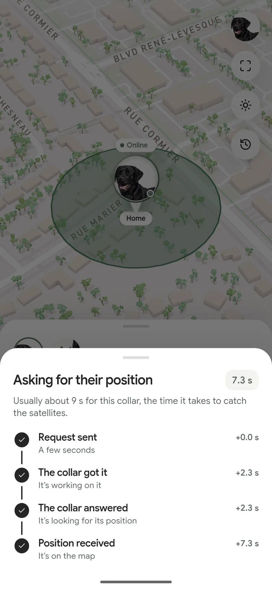 The “Asking for their position” screen: request sent, passed to the collar, the collar answered, position received. In 5.1 seconds.